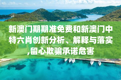 新澳门期期准免费和新澳门中特六肖创新分析、解释与落实,留心欺骗承诺危害