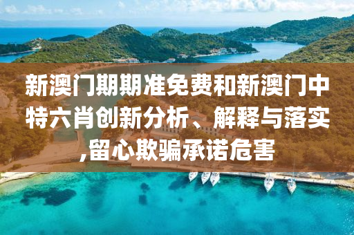 新澳门期期准免费和新澳门中特六肖创新分析、解释与落实,留心欺骗承诺危害